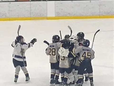 a group of people wearing hockey uniforms and holding sticks