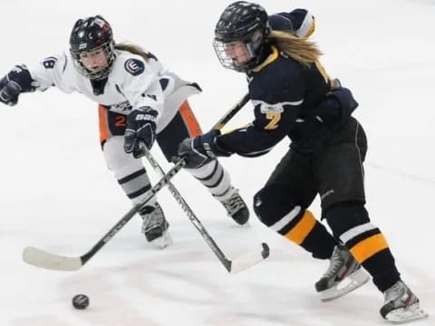 a few people playing hockey