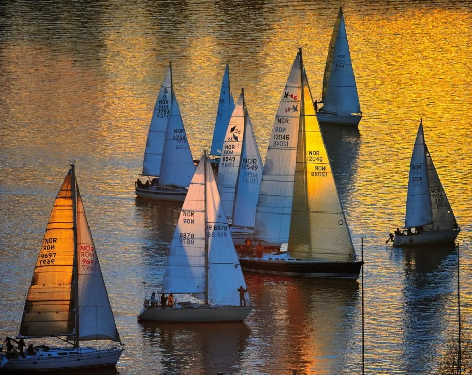 a group of sailboats on water