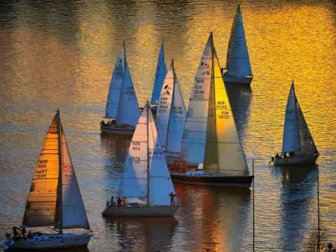 a group of sailboats on water