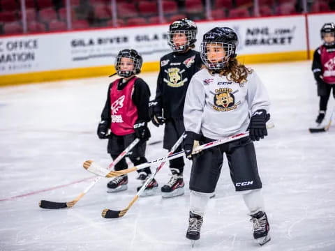 a group of people playing hockey