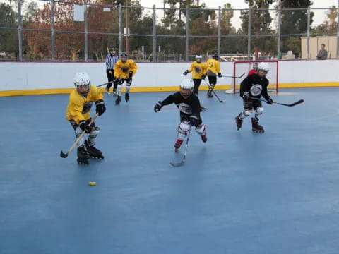 a group of people playing hockey