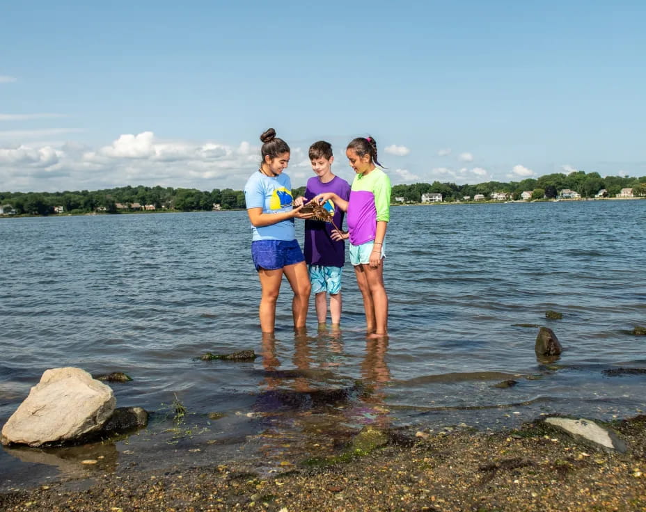 a group of people standing in a body of water