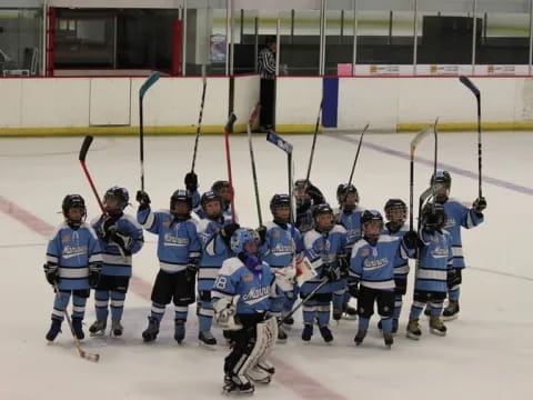 a group of hockey players posing for a photo