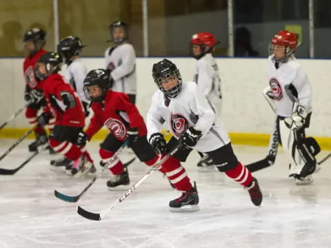 a group of people playing hockey