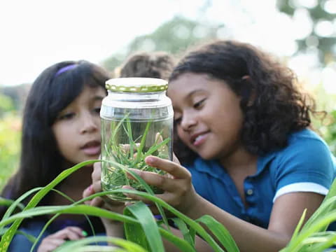 a couple of girls looking at a jar of green plants