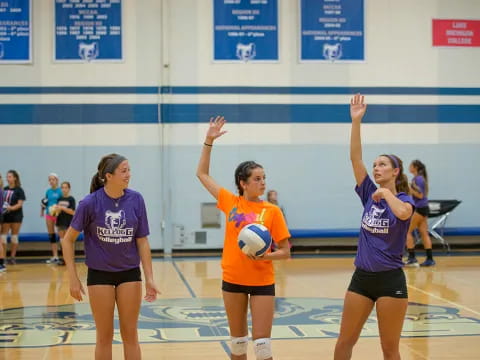 a group of women playing volleyball