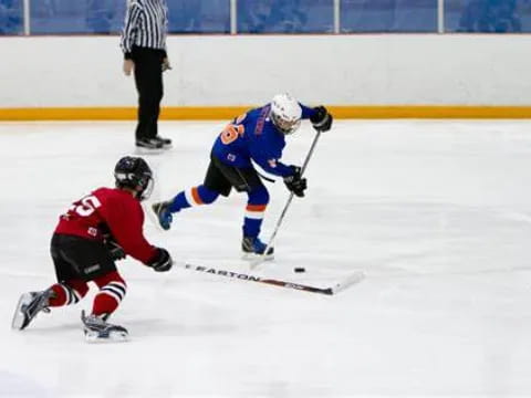 a couple of people playing hockey