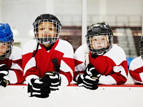 a group of hockey players