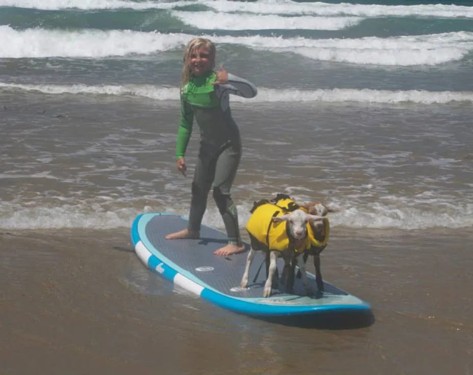 a person with a dog on a surfboard