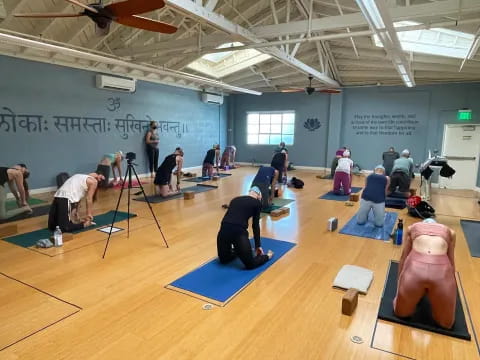 a group of people doing yoga