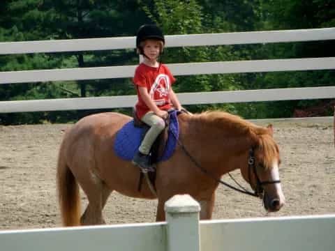 a young boy riding a horse