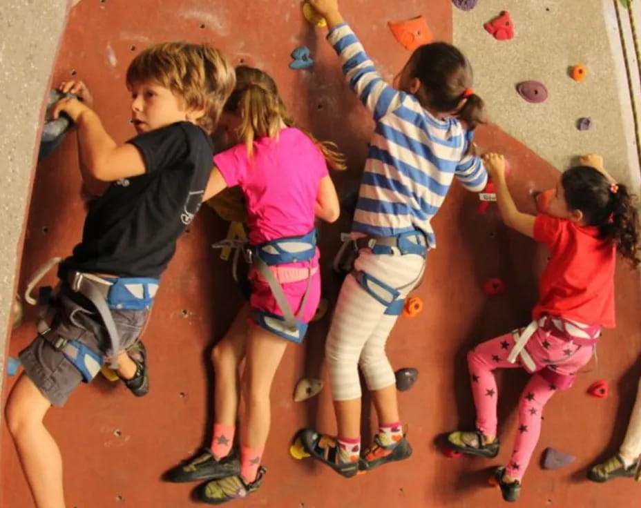 a group of kids climbing a rock wall
