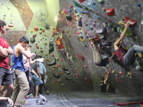 a group of people climbing a rock wall