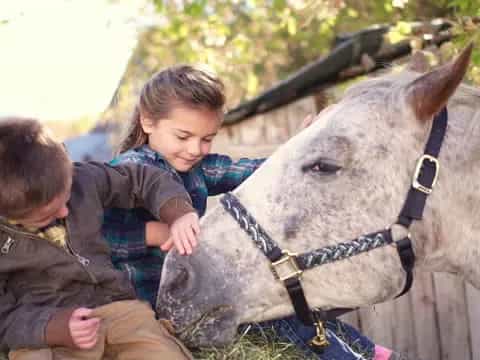 a boy and a girl petting a horse