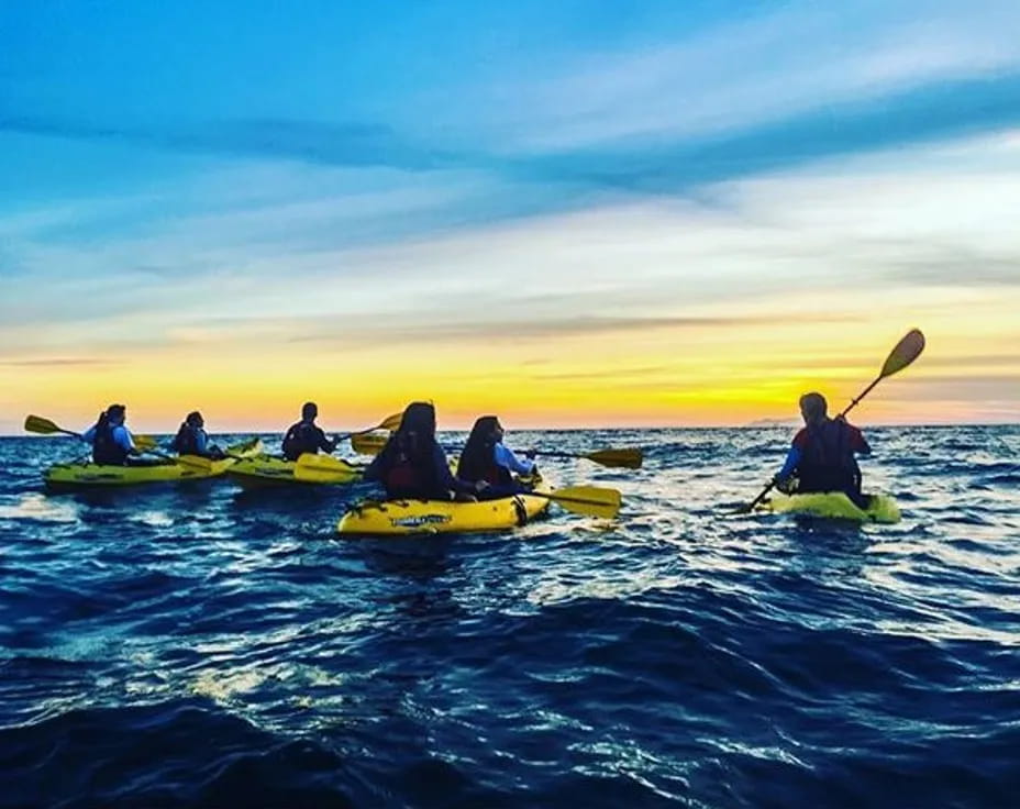 a group of people in kayaks