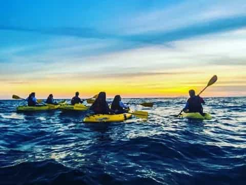 a group of people in kayaks