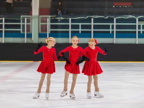 a group of women wearing ice skates and ice skates