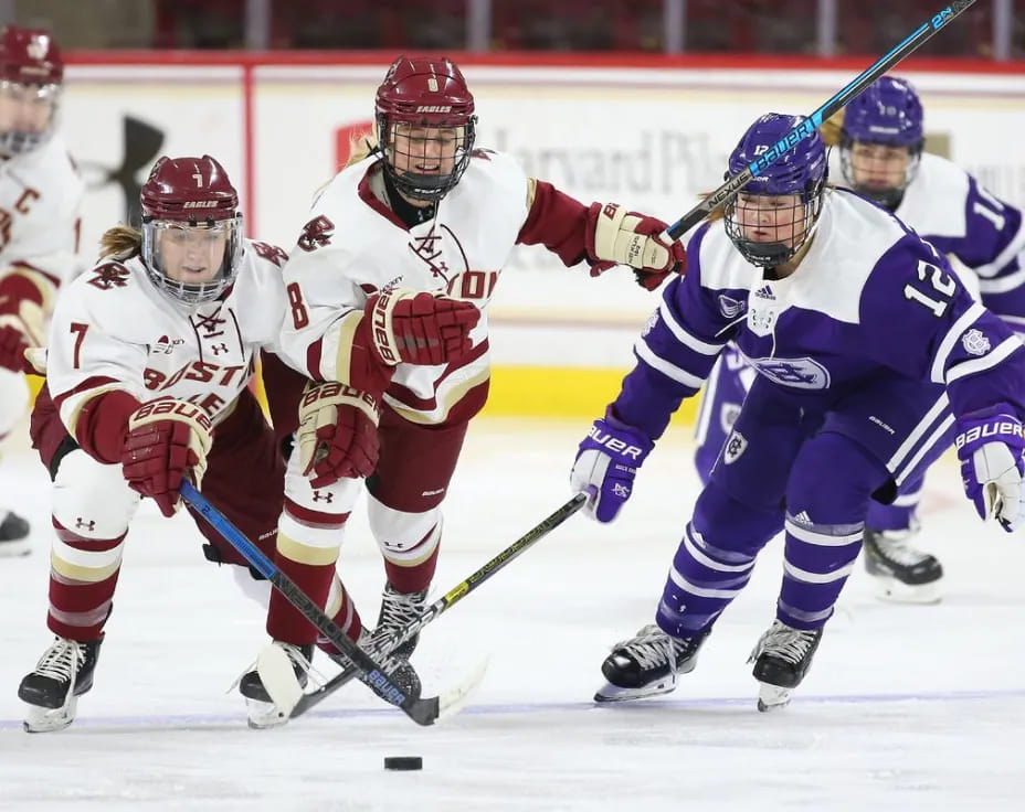 a group of hockey players on ice