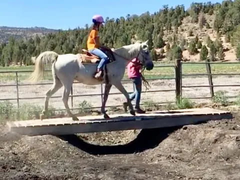 a couple of girls riding horses