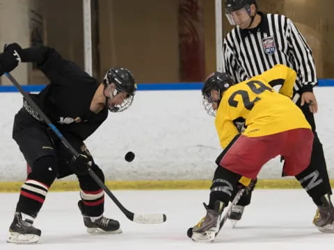 a group of people playing hockey