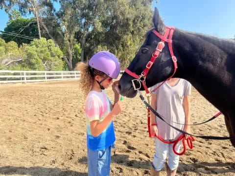 a person and a girl petting a horse