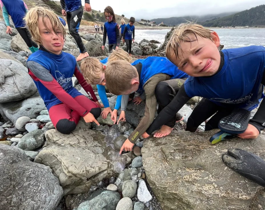 a group of kids playing on rocks