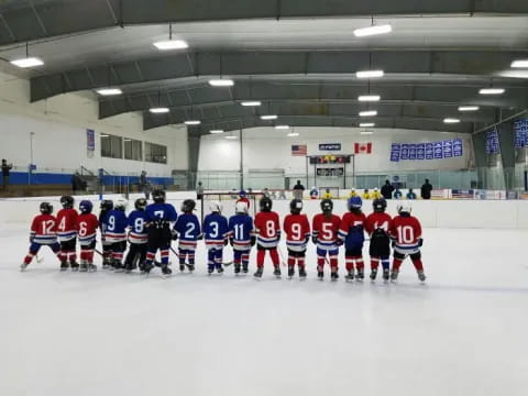a group of people in hockey uniforms