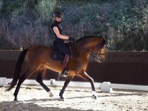 a person riding a horse