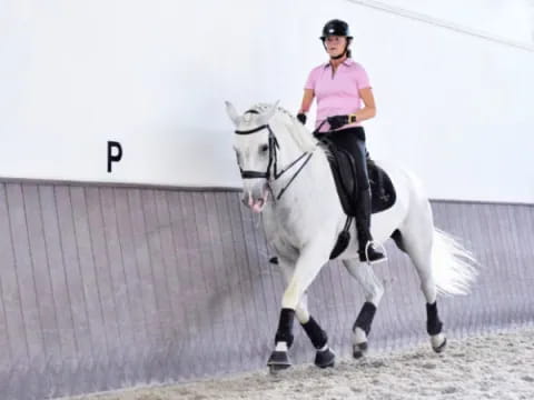 a person riding a white horse