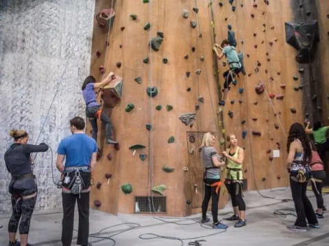 a group of people climbing a wall