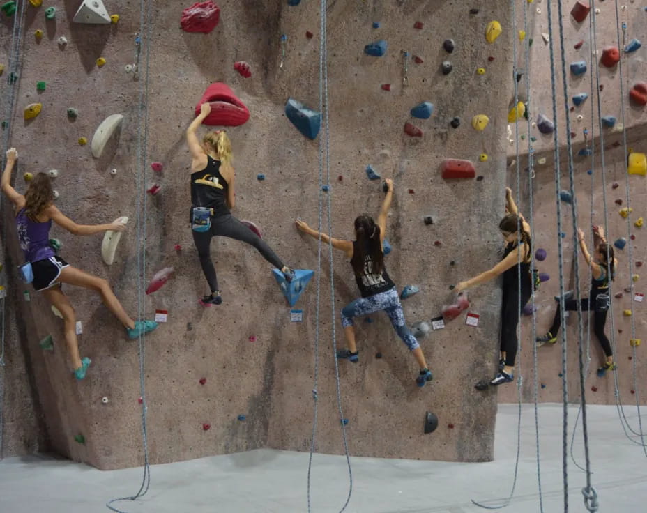 a group of women climbing a rock wall