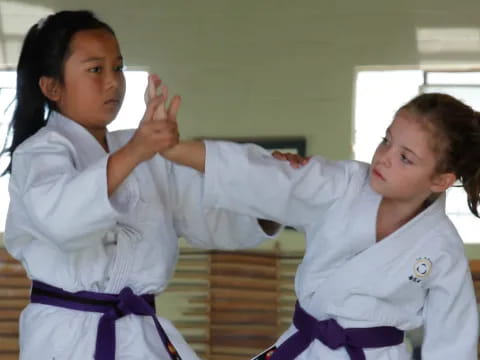 a few girls in karate uniforms