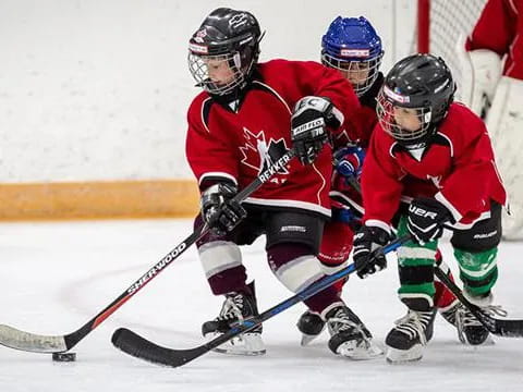 a couple of men playing hockey