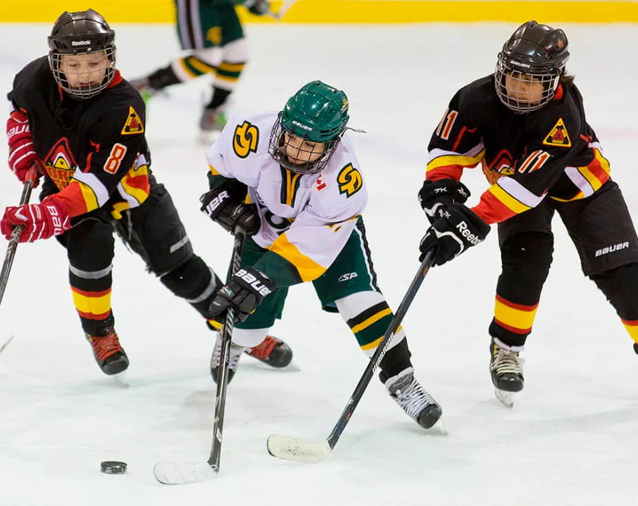 a group of people playing hockey