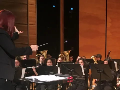 a person standing in front of an orchestra