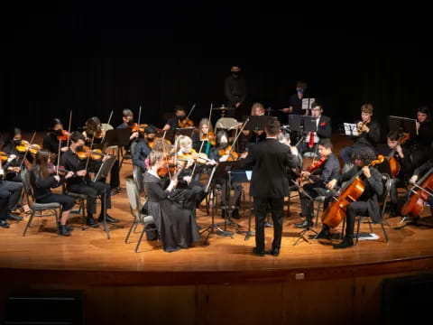 a person standing in front of an orchestra