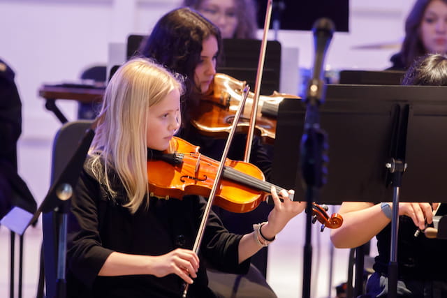 a person playing a violin