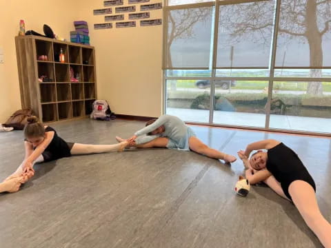 a group of people doing yoga