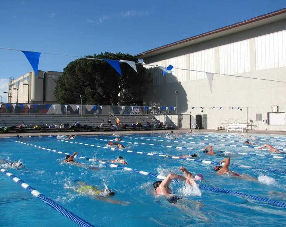 a group of people in a pool