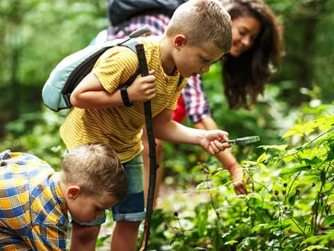 a group of children looking at plants