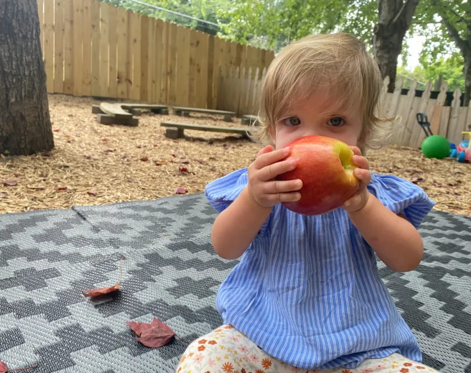 a child holding an apple