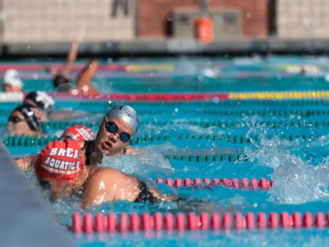 a group of people swimming in a pool