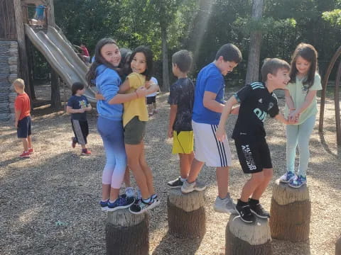 a group of children standing on stumps in a playground