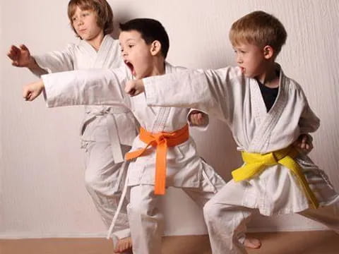 a group of boys in karate uniforms