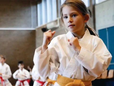 a young girl in a karate uniform