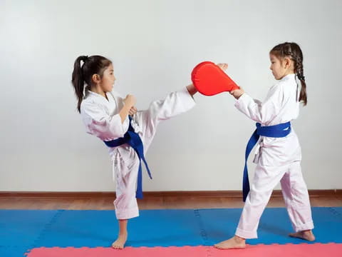 a couple of girls in karate uniforms