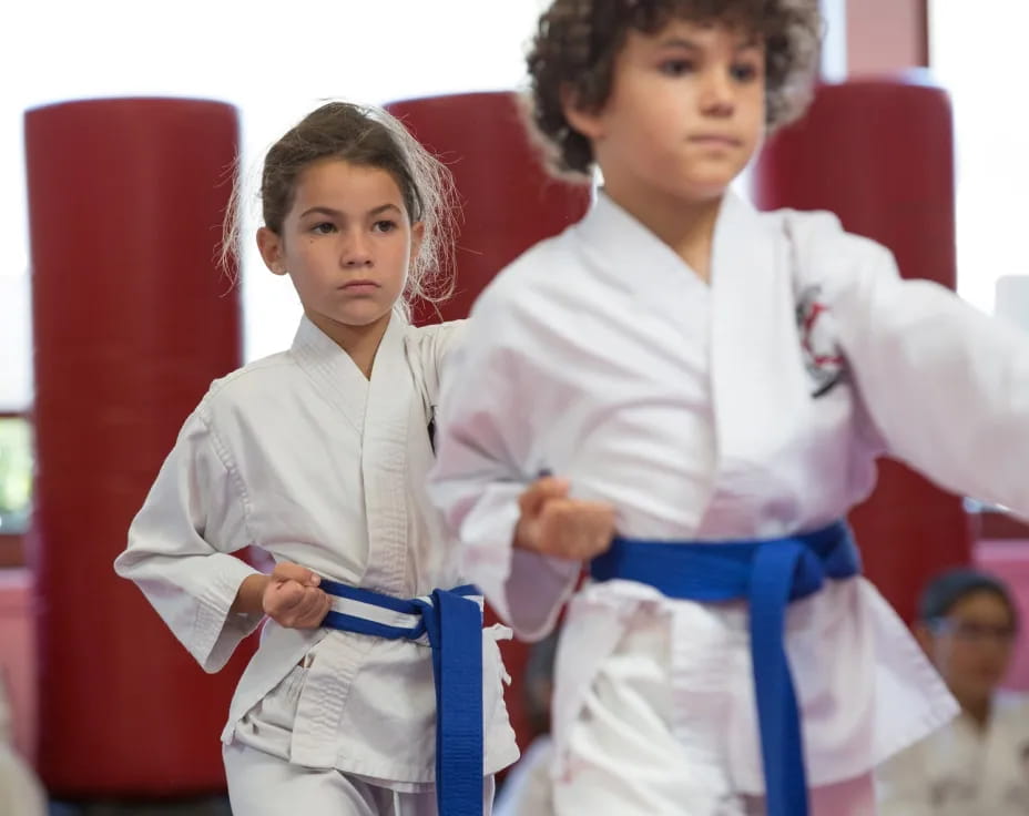 a couple of boys in karate uniforms