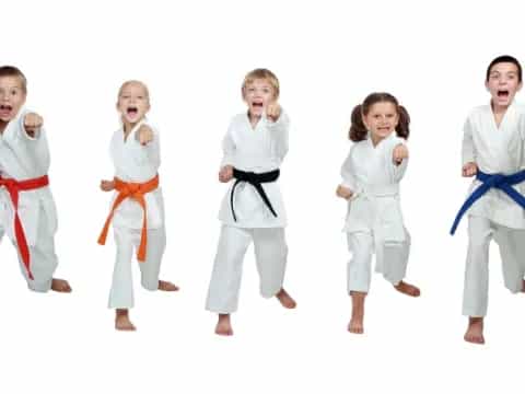 a group of kids wearing karate uniforms