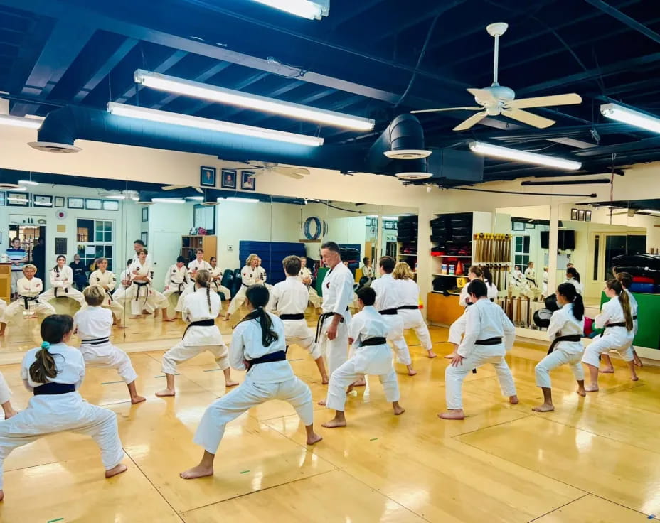 a group of people in karate uniforms